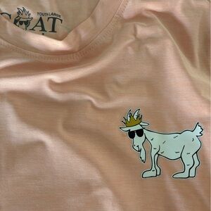 Boys Bundle of GOAT USA three performance t-shirts and two Swim trunks